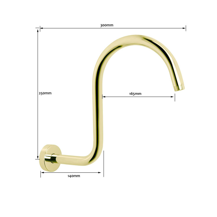 Shower Arm Wall Mount Trendy Aurum Goose Neck 300mm Brushed Gold